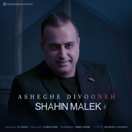 شاهین ملک عاشق دیوونه